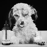 THE SENSITIVE ONE Hypoallergenic Dog & Puppy Shampoo — With Hemp Oil, Aloe & Oatmeal for Sensitive Skin
